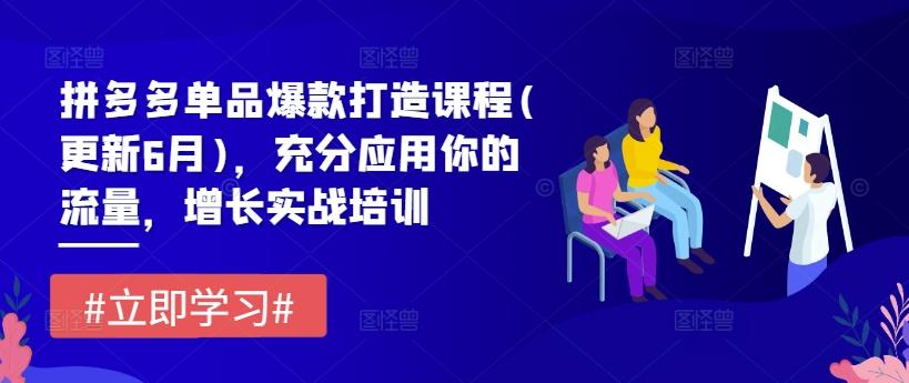 拼多多单品爆款打造课程(更新6月)，充分应用你的流量，增长实战培训-梦清网创