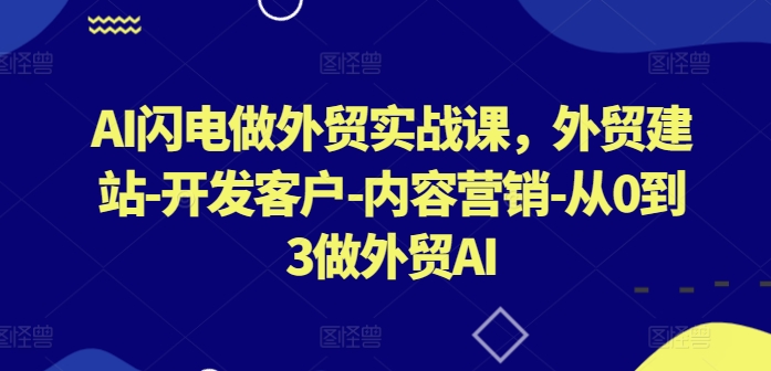AI闪电做外贸实战课，​外贸建站-开发客户-内容营销-从0到3做外贸AI(更新)-梦清网创