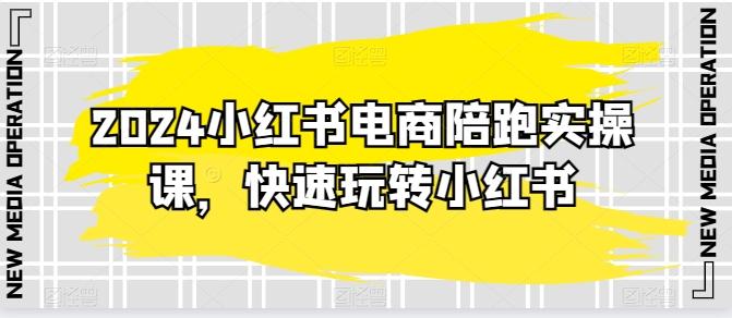 2024小红书电商陪跑实操课，快速玩转小红书，超过20节精细化课程-梦清网创