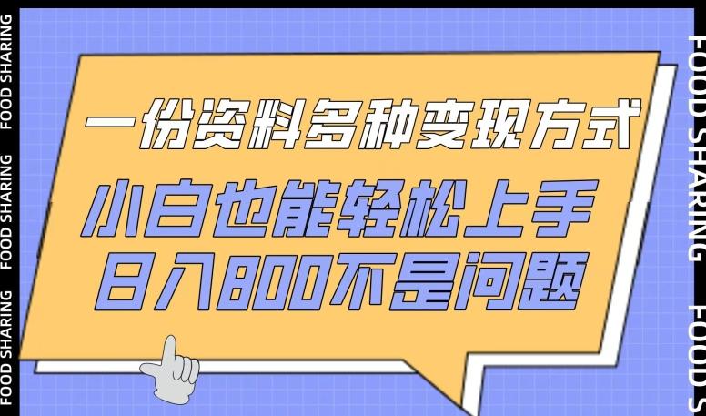 一份资料多种变现方式，小白也能轻松上手，日入800不是问题【揭秘】-梦清网创