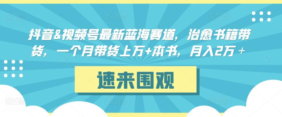 抖音&视频号最新蓝海赛道，治愈书籍带货，一个月带货上万+本书，月入2万＋【揭秘】-梦清网创
