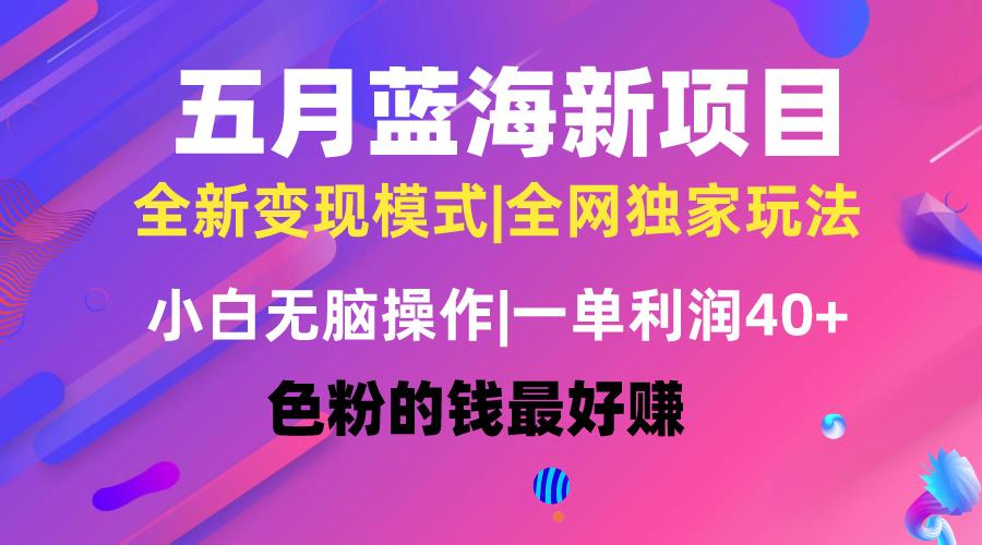 五月蓝海项目全新玩法，小白无脑操作，一天几分钟，矩阵操作，月入4万+-梦清网创