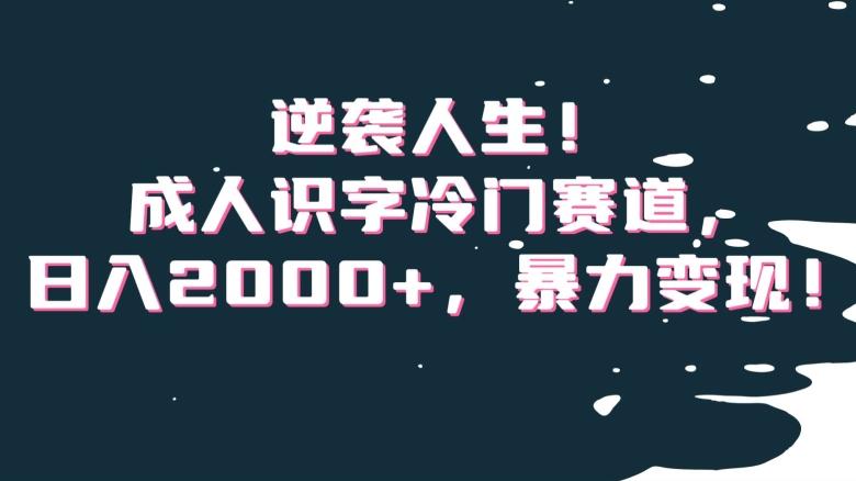逆袭人生！成人识字冷门赛道，日入2000+，暴力变现！【揭秘】-梦清网创