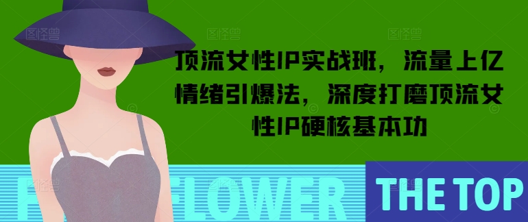 顶流女性IP实战班，流量上亿情绪引爆法，深度打磨顶流女性IP硬核基本功-梦清网创