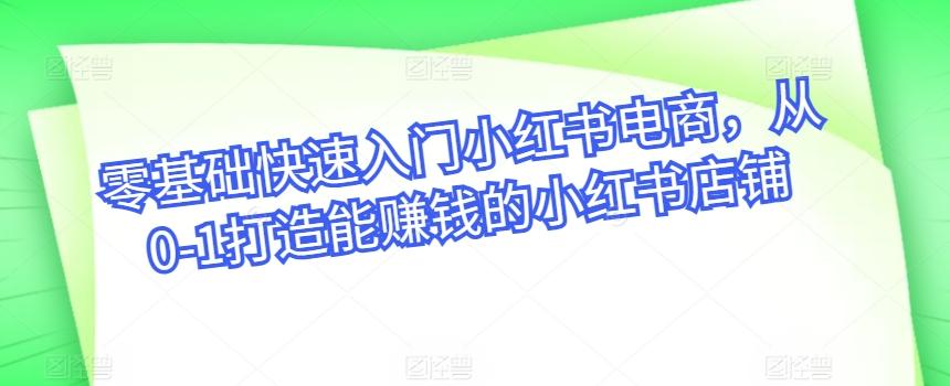 零基础快速入门小红书电商，从0-1打造能赚钱的小红书店铺-梦清网创