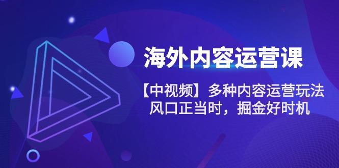 海外内容 运营课【中视频】多种内容运营玩法 风口正当时 掘金好时机-101节-梦清网创