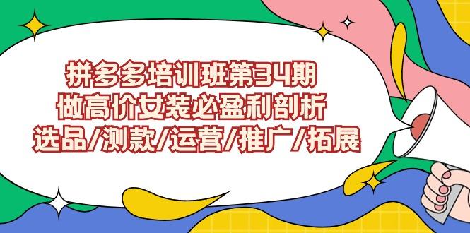 (9333期)拼多多培训班第34期：做高价女装必盈利剖析  选品/测款/运营/推广/拓展-梦清网创