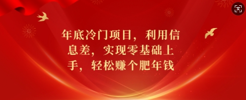 年底冷门项目，利用信息差，实现零基础上手，轻松赚个肥年钱【揭秘】-梦清网创
