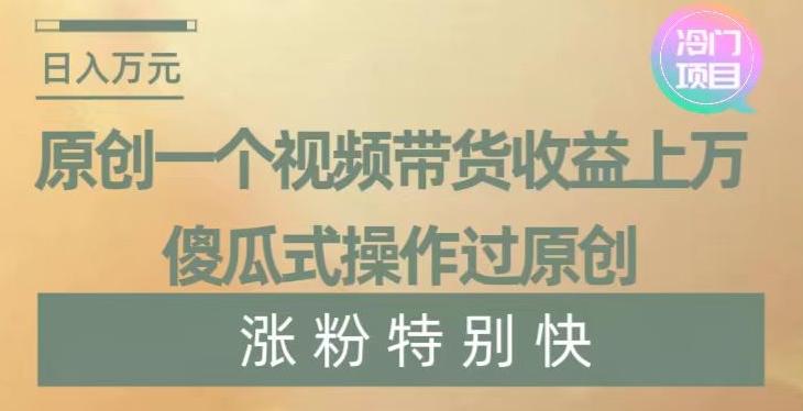 原创一个视频带货收益上万，傻瓜式操作过原创，几分钟做一个视频涨粉特别快【揭秘】-梦清网创