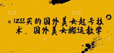 1288买的国外美女起号技术，国外美女搬运教学-梦清网创
