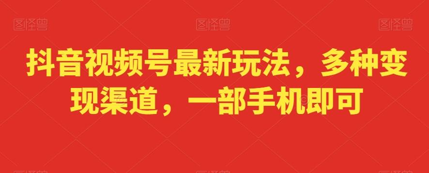 抖音视频号最新玩法，多种变现渠道，一部手机即可-梦清网创