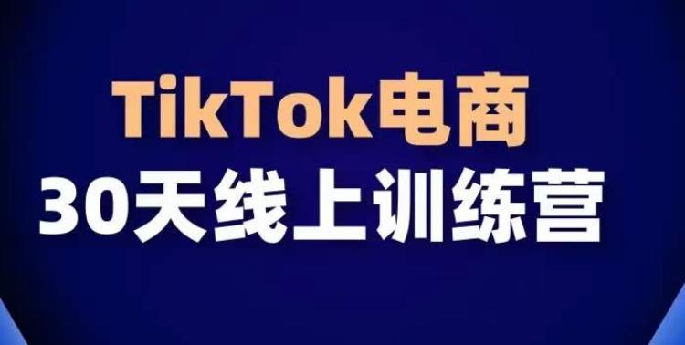 TikTok电商带货30天线上课，不可错过的全球流量洼地！-梦清网创