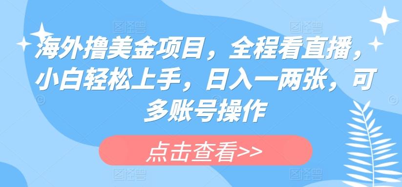 海外撸美金项目，全程看直播，小白轻松上手，日入一两张，可多账号操作【揭秘】-梦清网创