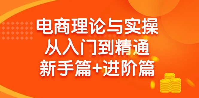 (9576期)电商理论与实操从入门到精通 新手篇+进阶篇-梦清网创