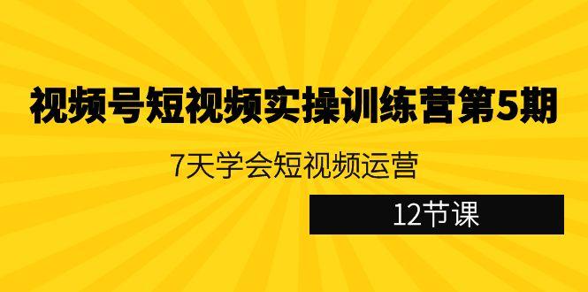 视频号短视频实操训练营第5期：7天学会短视频运营(12节课)-梦清网创