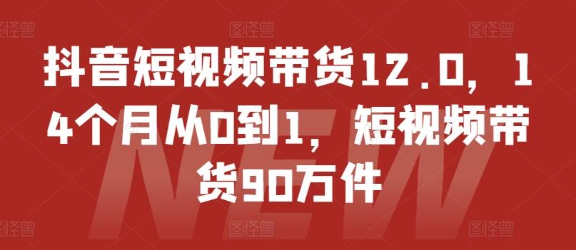 抖音短视频带货12.0，14个月从0到1，短视频带货90万件-梦清网创