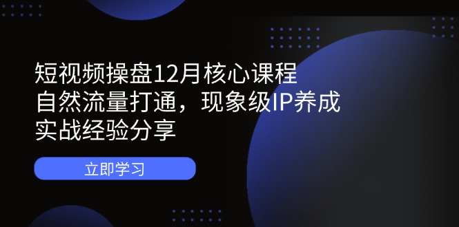 短视频操盘12月核心课程：自然流量打通，现象级IP养成，实战经验分享-梦清网创