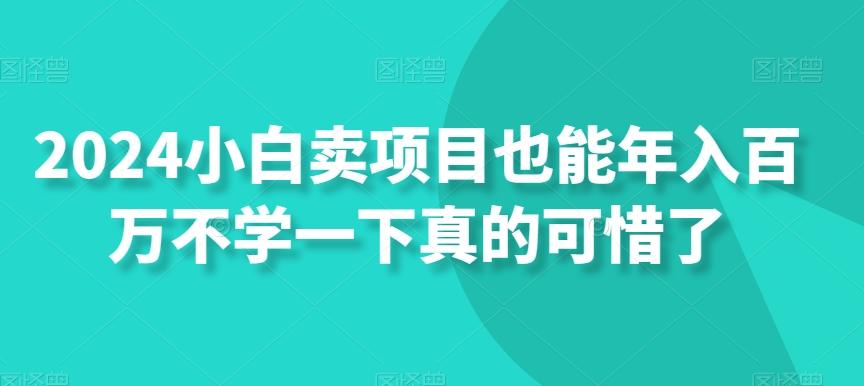 2024小白卖项目也能年入百万不学一下真的可惜了-梦清网创
