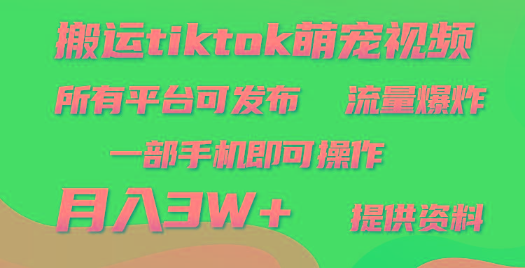 (9618期)搬运Tiktok萌宠类视频，一部手机即可。所有短视频平台均可操作，月入3W+-梦清网创