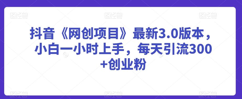 抖音《网创项目》最新3.0版本，小白一小时上手，每天引流300+创业粉【揭秘】-梦清网创