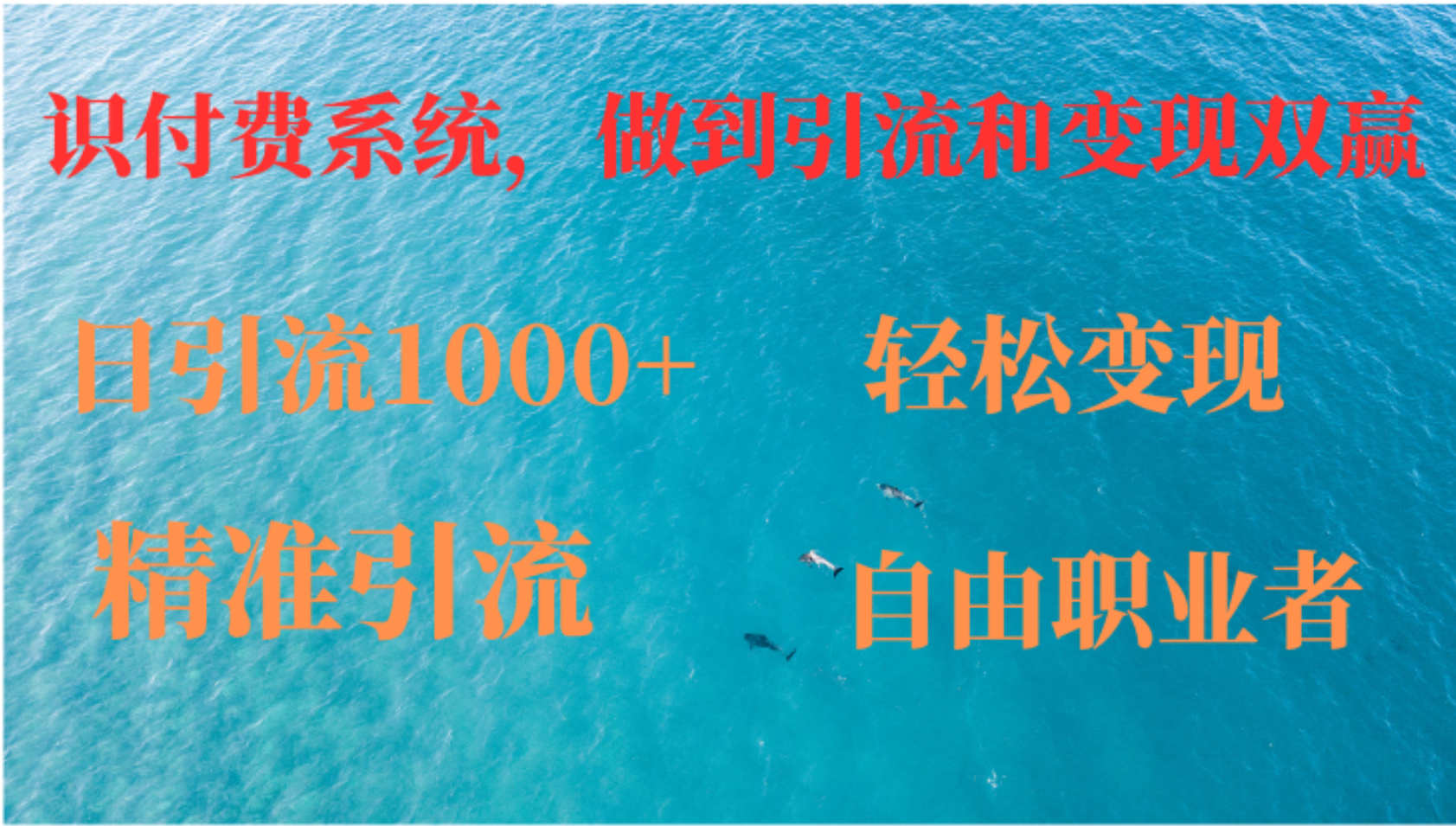 如何搭建自己的知识付费系统，做到引流和变现双赢-梦清网创