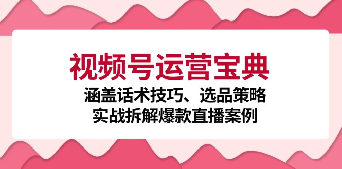视频号运营宝典：涵盖话术技巧、选品策略、实战拆解爆款直播案例-梦清网创