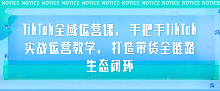 TikTok全域运营课，手把手TikTok实战运营教学，打造带货全链路生态闭环-梦清网创