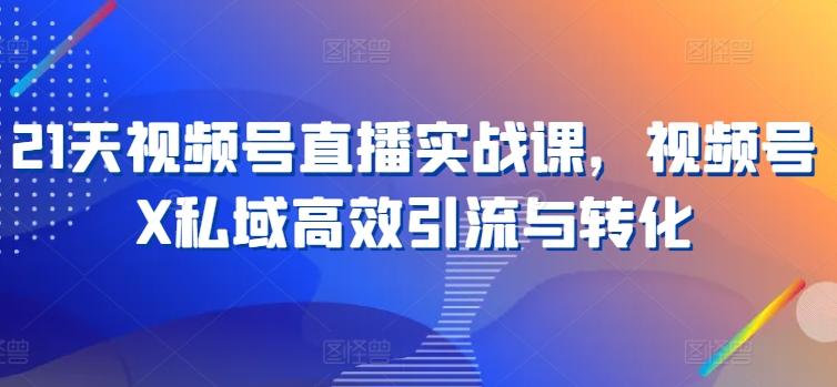 21天视频号直播实战课，视频号X私域高效引流与转化-梦清网创