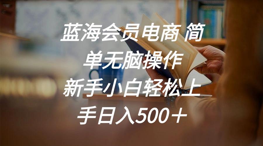 蓝海会员电商 简单无脑操作 新手小白轻松上手日入500＋-梦清网创