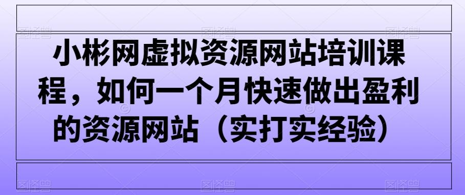 小彬网虚拟资源网站培训课程，如何一个月快速做出盈利的资源网站(实打实经验)-梦清网创