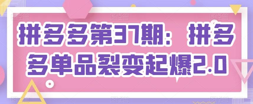 拼多多第37期：拼多多单品裂变起爆2.0-梦清网创
