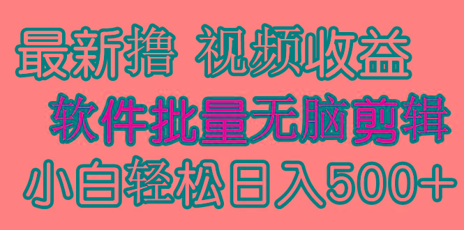 (9569期)发视频撸收益，软件无脑批量剪辑，第一天发第二天就有钱-梦清网创