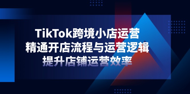TikTok跨境小店运营，精通开店流程与运营逻辑，提升店铺运营效率-梦清网创