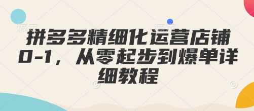 拼多多精细化运营店铺0-1，从零起步到爆单详细教程-梦清网创