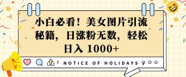 小白必看，美女图片引流秘籍，日涨粉无数，轻松日入几张【揭秘】-梦清网创