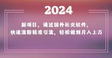 2024新项目，通过国外社交软件，快速涨粉精准引流，轻松做到月入上万【揭秘】-梦清网创