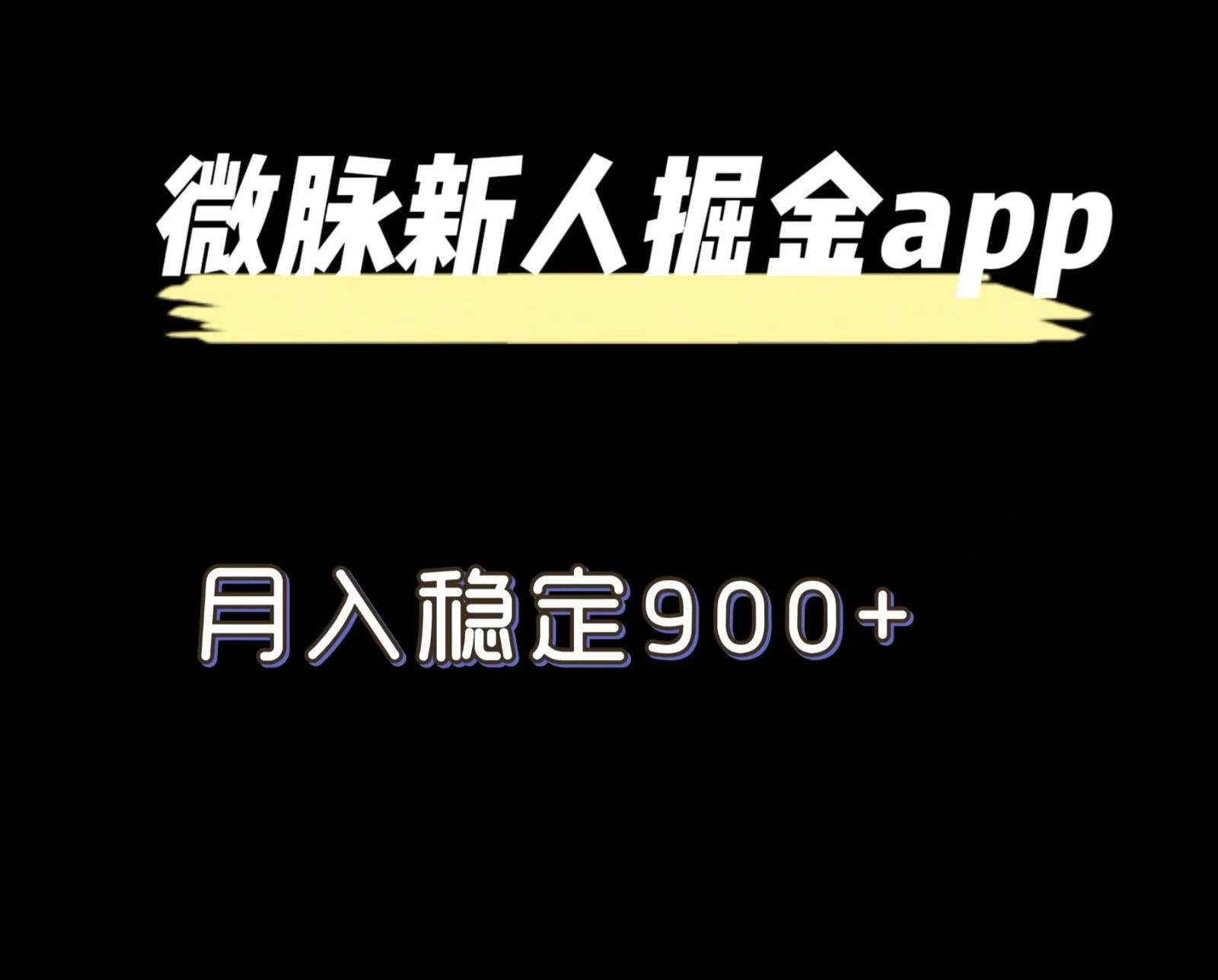 最新微脉长久项目，拉新掘金，月入稳定900+-梦清网创