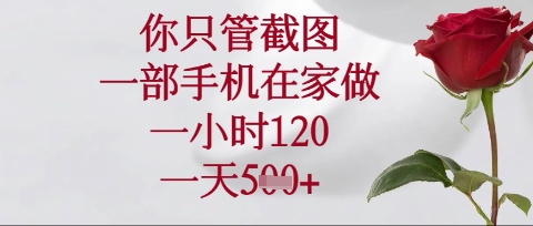 你只管截图，一部手机在家操作，一小时120.一天5张【揭秘】-梦清网创