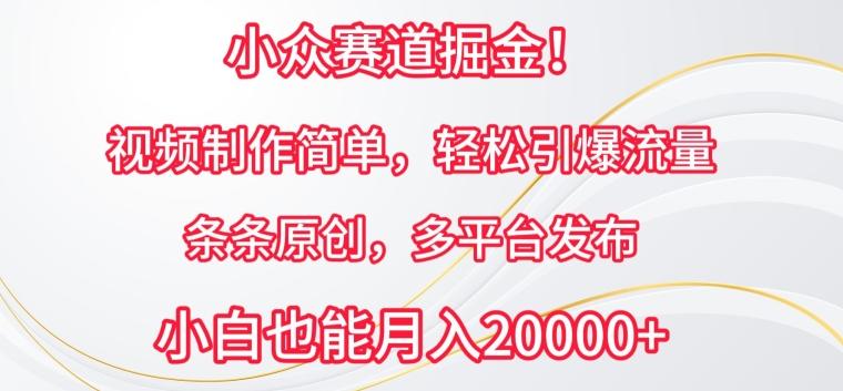 小众赛道掘金，视频制作简单，轻松引爆流量，条条原创，多平台发布【揭秘】-梦清网创