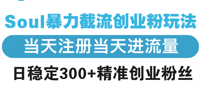 Soul暴力截流创业粉玩法，当天注册当天进流量，日稳定300+精准创业粉丝-梦清网创