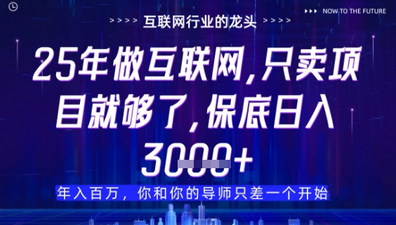 什么！25年你还在找项目做？风口早就变了，卖项目才是稳挣不赔【揭秘】-梦清网创