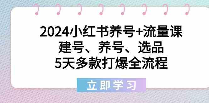 2024小红书养号+流量课：建号、养号、选品，5天多款打爆全流程-梦清网创