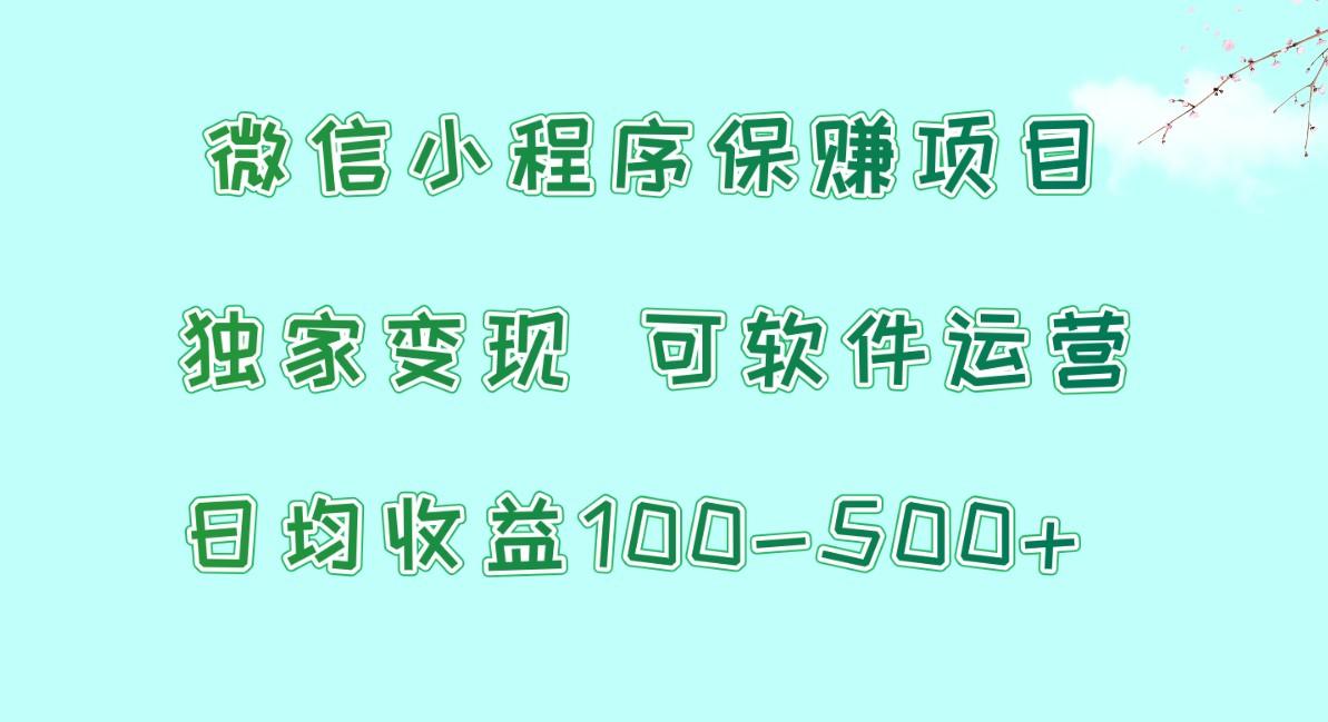 微信小程序保赚项目，日均收益100~500+，独家变现，可软件运营-梦清网创