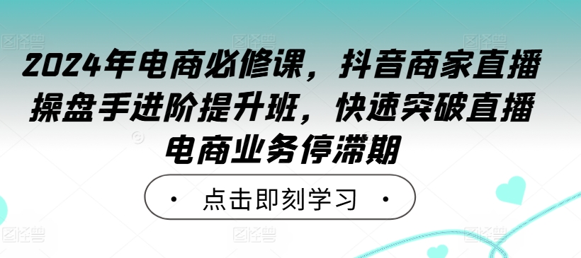 2024年电商必修课，抖音商家直播操盘手进阶提升班，快速突破直播电商业务停滞期-梦清网创