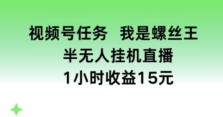 视频号任务，我是螺丝王， 半无人挂机1小时收益15元【揭秘】-梦清网创
