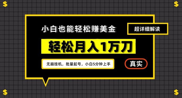 谷歌看广告撸美金2.0，无脑挂机，多号操作，月入1万刀【揭秘】-梦清网创