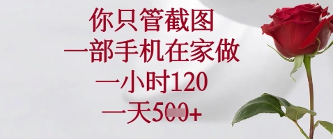 你只管截图，一部手机在家做，苹果安卓都可以，一小时120，一天5张+【揭秘】-梦清网创