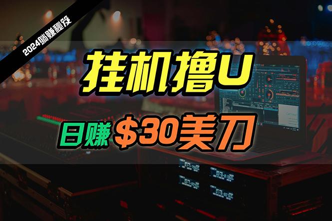 (10013期)日赚30美刀，2024最新海外挂机撸U内部项目，全程无人值守，可批量放大-梦清网创