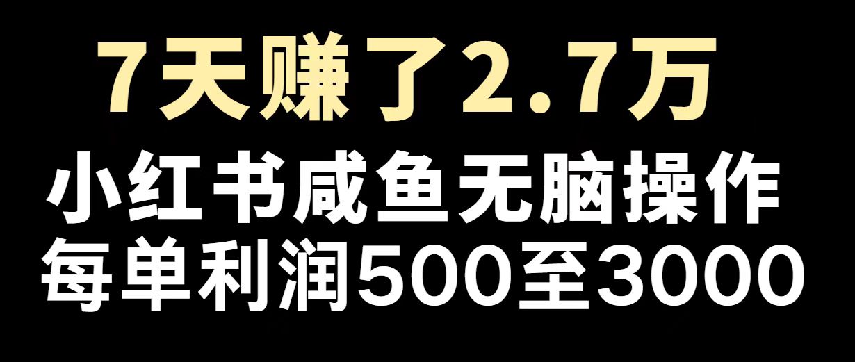 最赚钱项目之一，2025爆火，逆风翻盘！-梦清网创