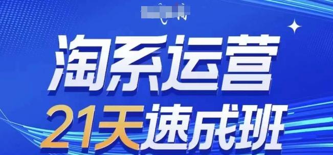 淘系运营21天速成班(更新24年6月)，0基础轻松搞定淘系运营，不做假把式-梦清网创